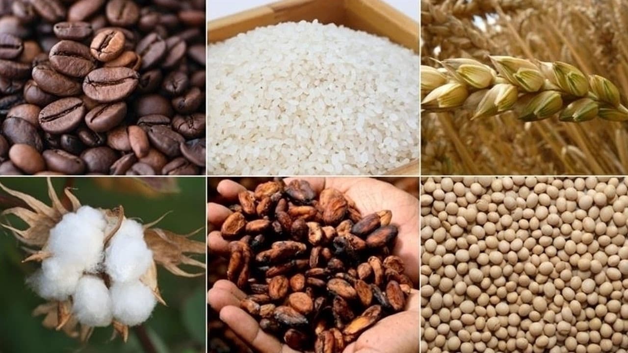 Emtia piyasalarında haftanın gündemi İran ve Fed oldu