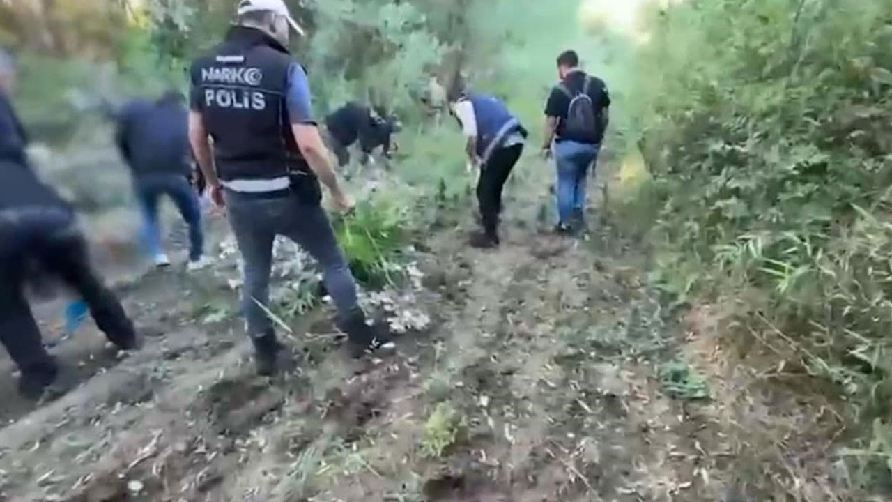 UNESCO Dünya Miras Listesi’ndeki Hevsel Bahçeleri’nde uyuşturucu operasyonu
