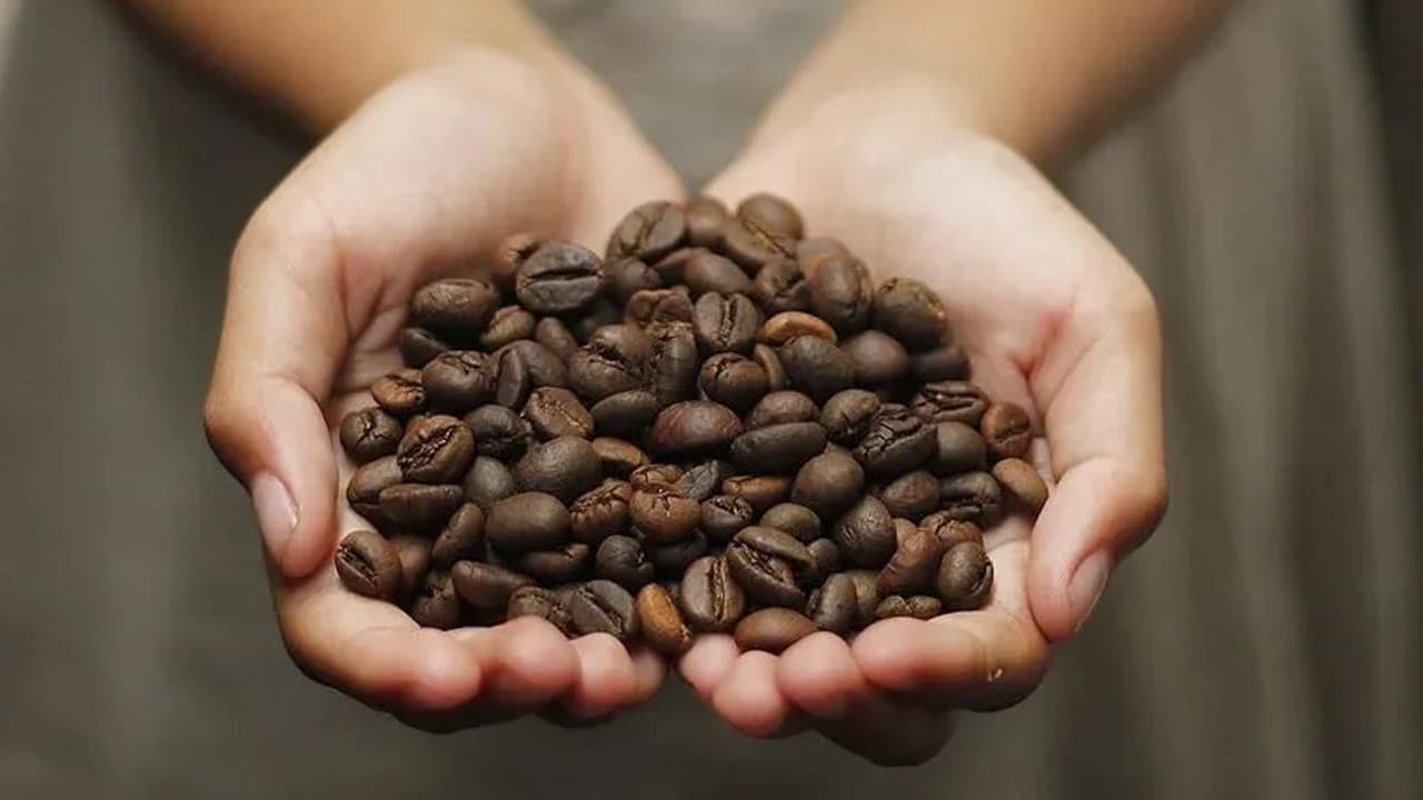 Kişi başı kahve tüketimi 2,5 kilograma koşuyor