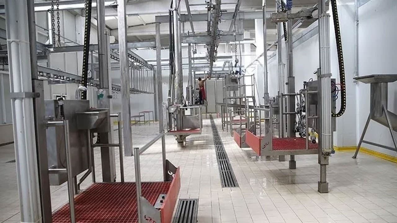 Kesimhanelerde kamera zorunluluğu 2027'de başlayacak
